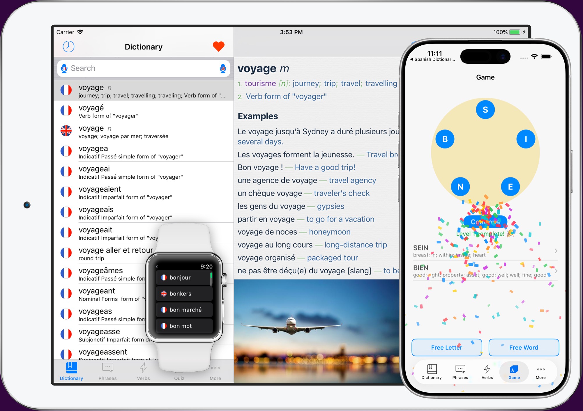 French English Dictionary iPhone iPad