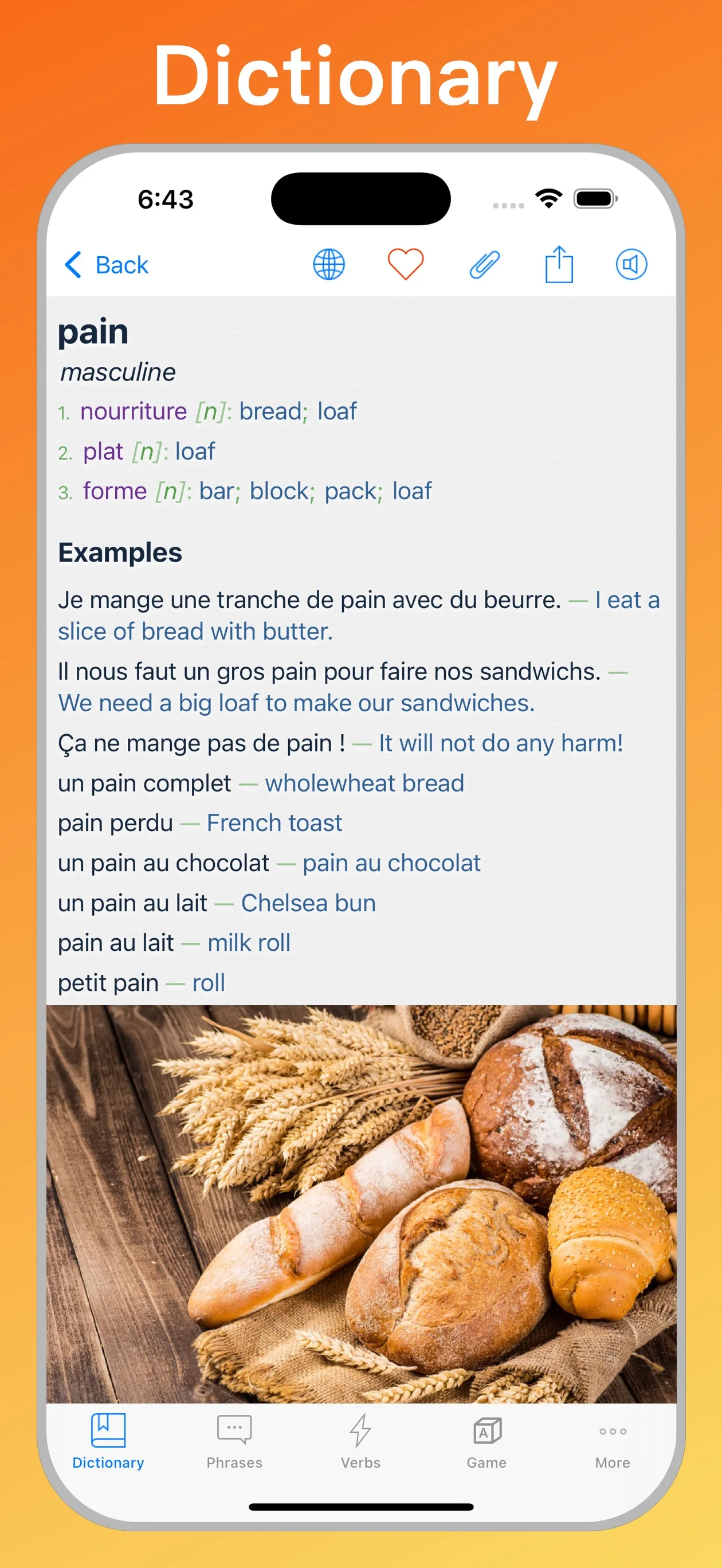 French English Dictionary + dictionary entry on iPhone