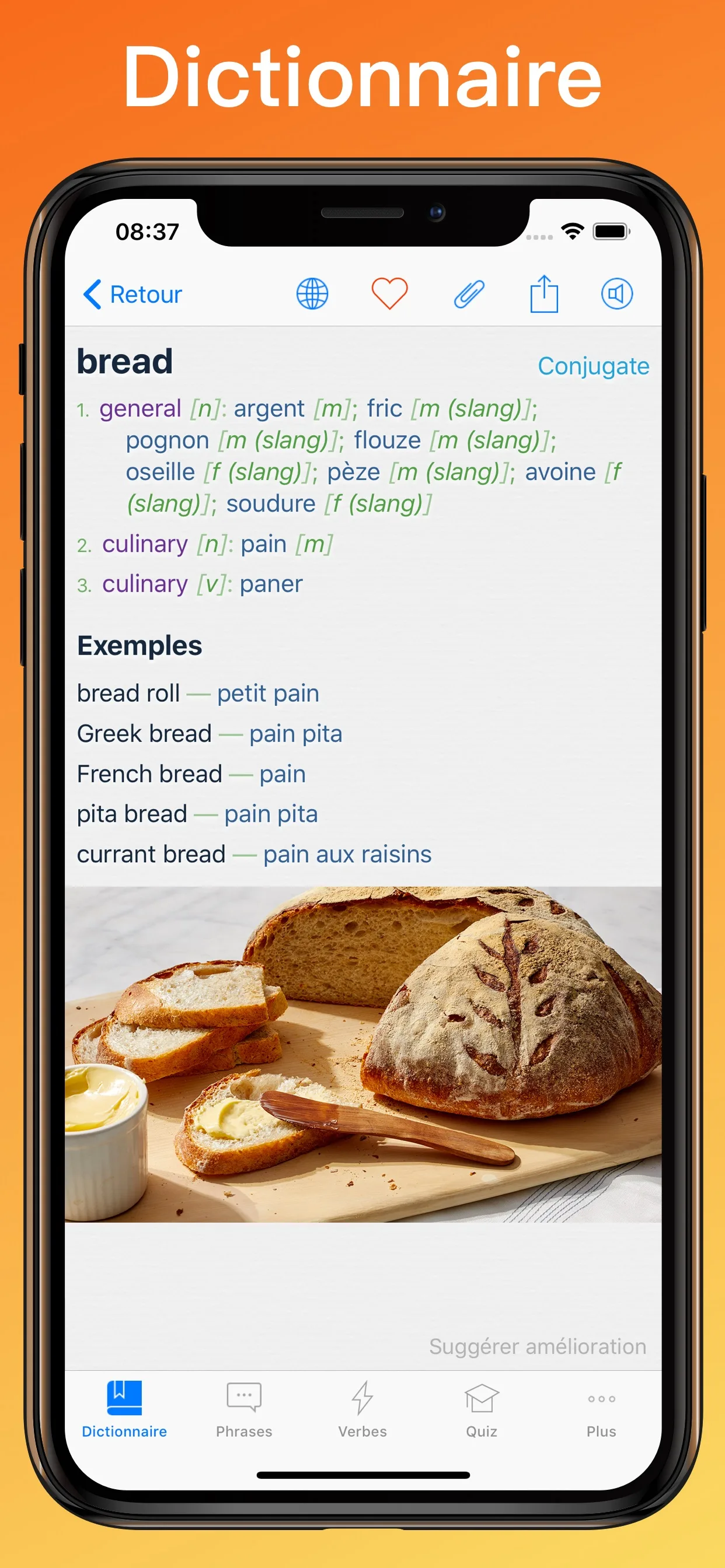 Dictionnaire Anglais Français + entrée de dictionnaire sur iPhone
