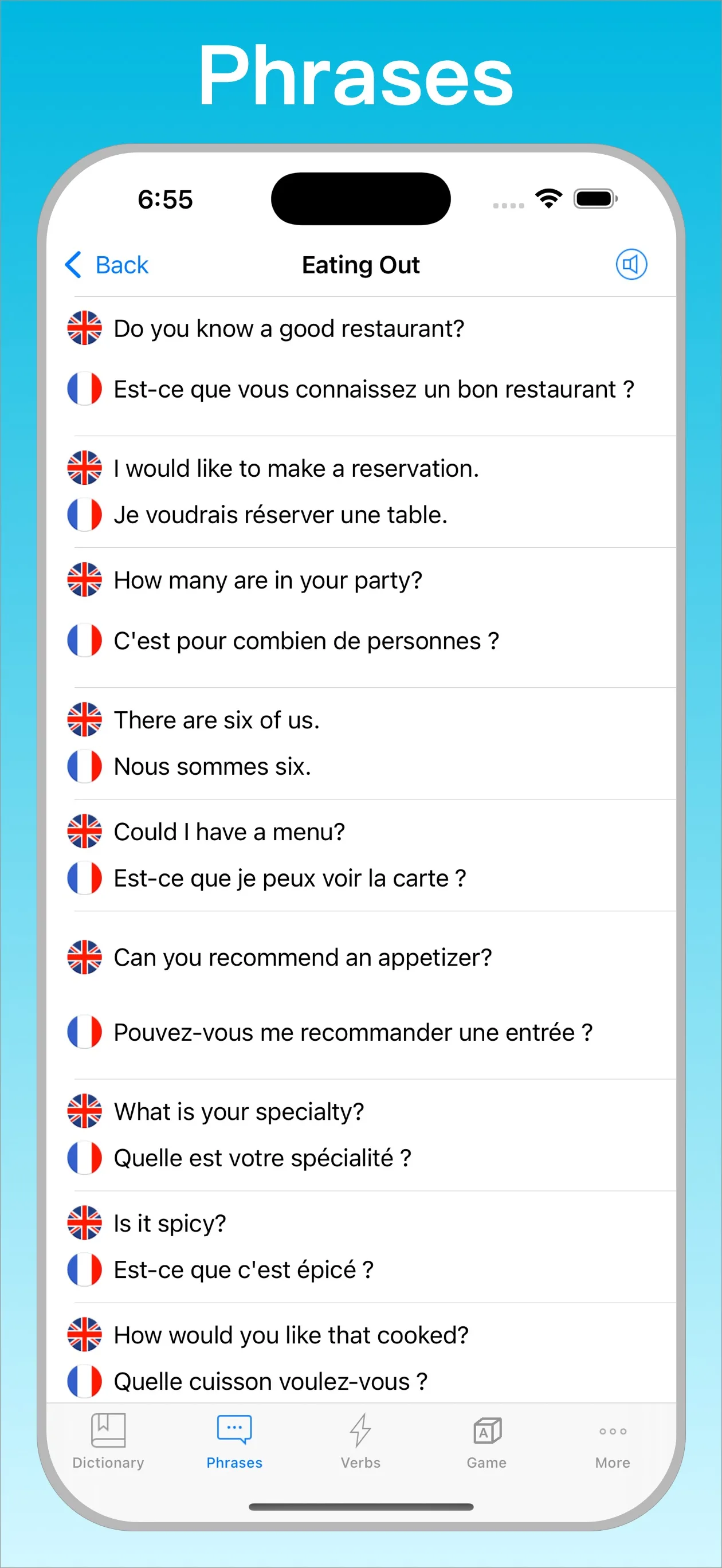 French English Dictionary + phrases on iPhone