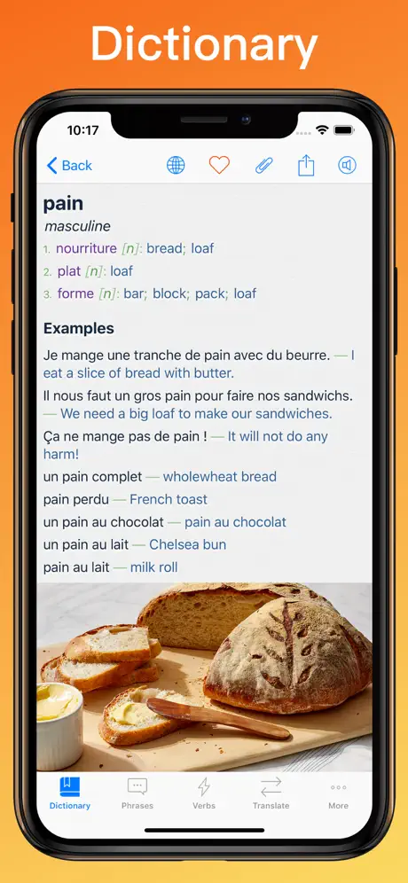 French Translator Dictionary + dictionary entry on iPhone