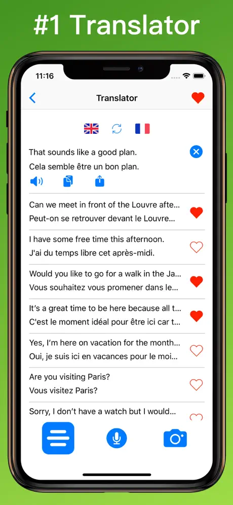 French Translator Dictionary + text translator on iPhone