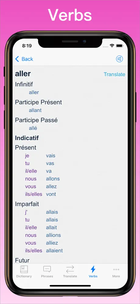 French Translator Dictionary + verb conjugator on iPhone