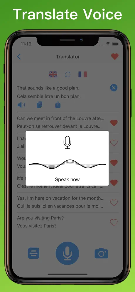 French Translator Dictionary + voice translator on iPhone