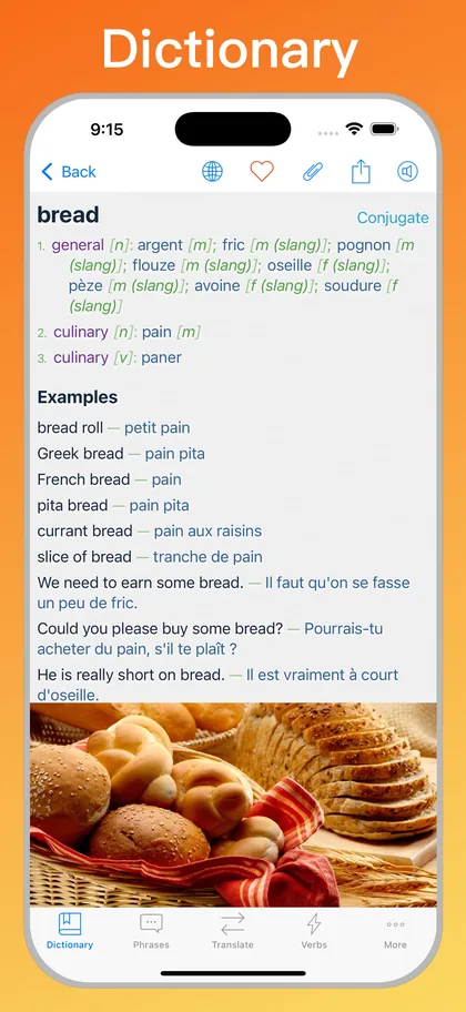 French Translator Dictionary + dictionary entry on iPhone
