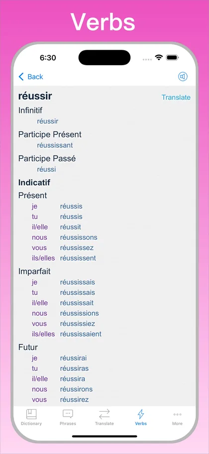 French Translator Dictionary + verb conjugator on iPhone