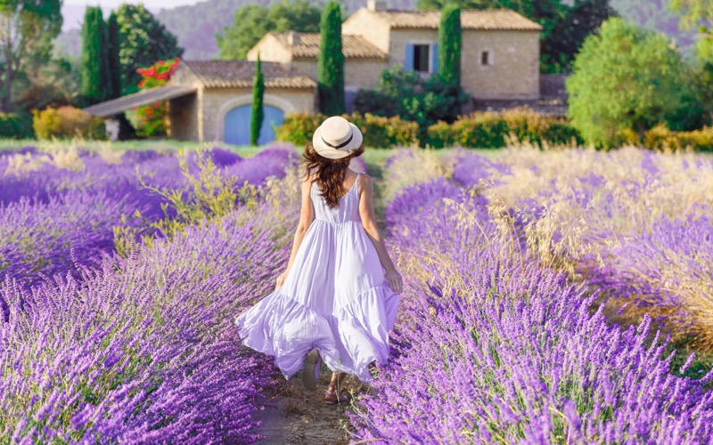 girl in field of lavender