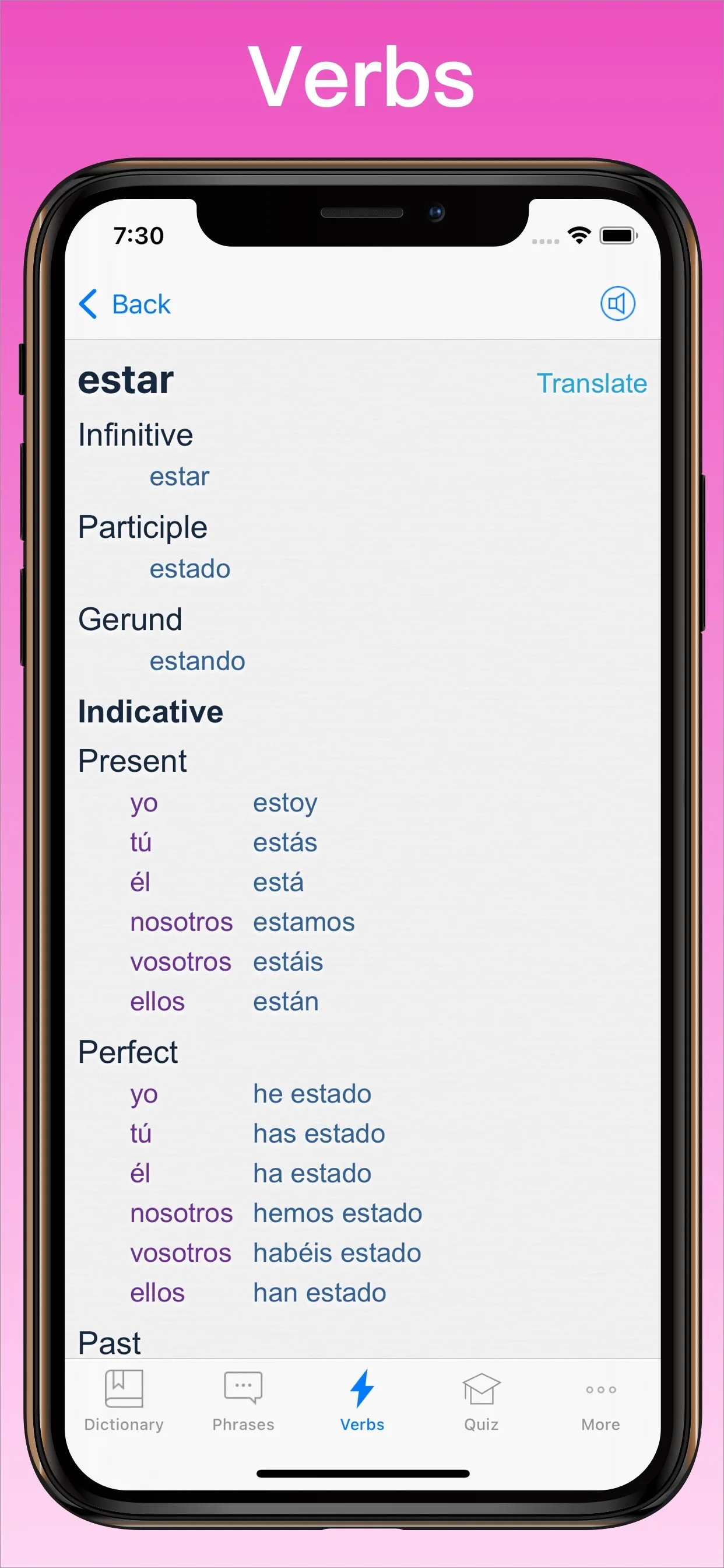 Spanish English Dictionary + verb conjugator on iPhone