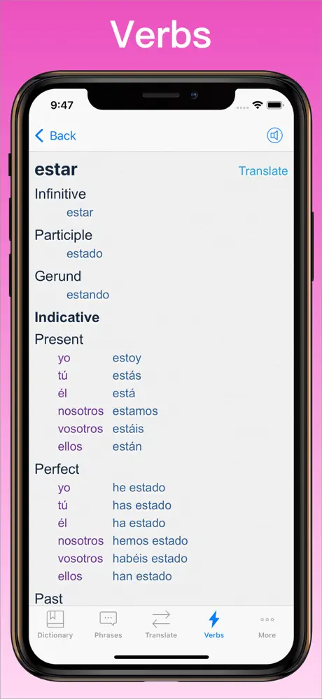 Spanish Translator + verb conjugator on iPhone