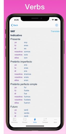 Spanish Translator Dictionary + flashcards screen